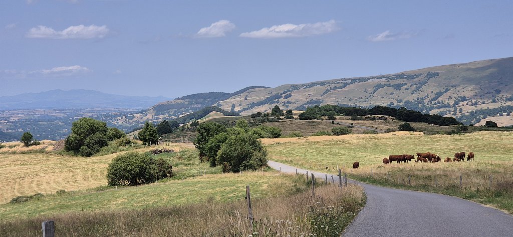 Cantal-570.jpg