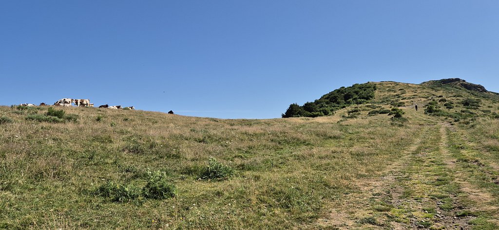 Cantal-597.jpg