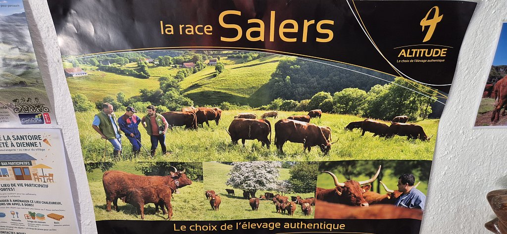 Cantal-610.jpg