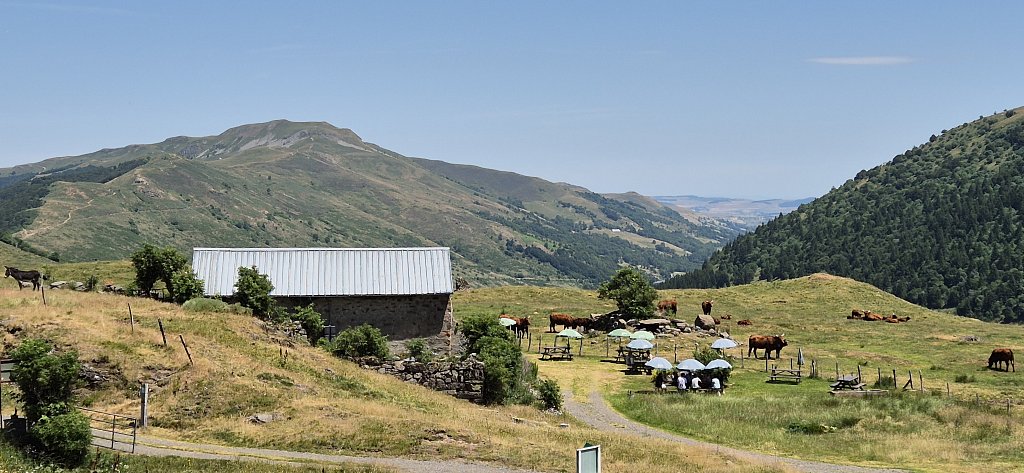 Cantal-612.jpg