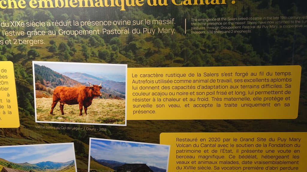 Cantal-621.JPG
