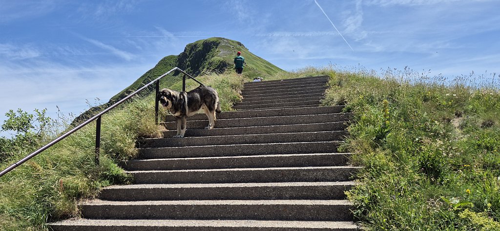 Cantal-623.jpg