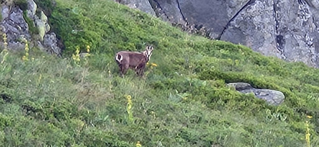 Cantal-683.jpg