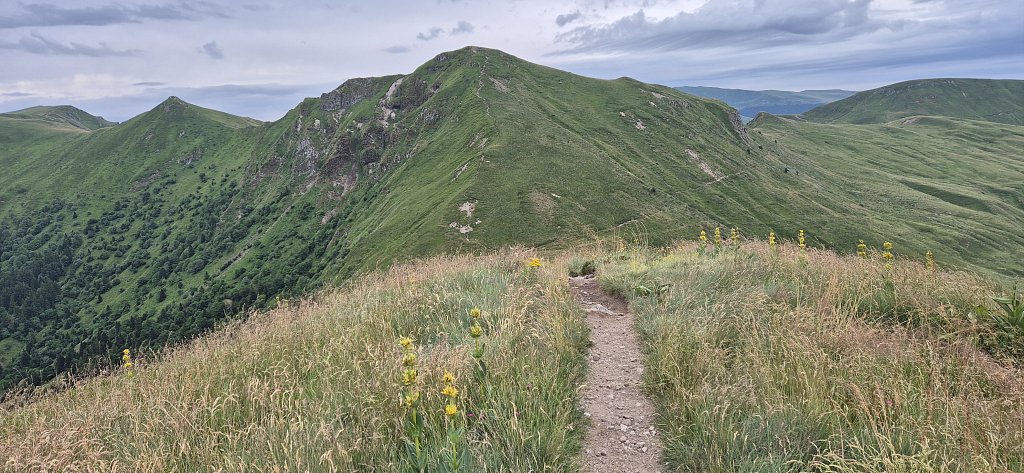Cantal-699.jpg