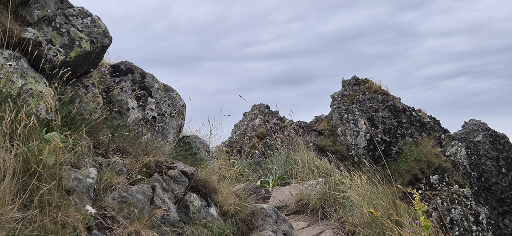 Cantal-744.jpg