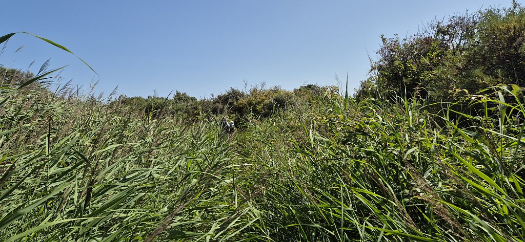 Veere-181.jpg