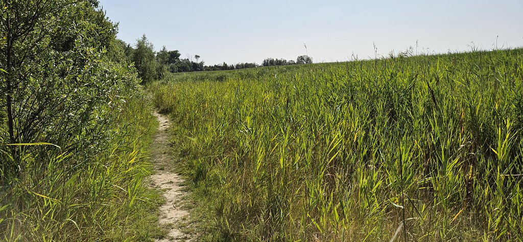 Veere-242.jpg