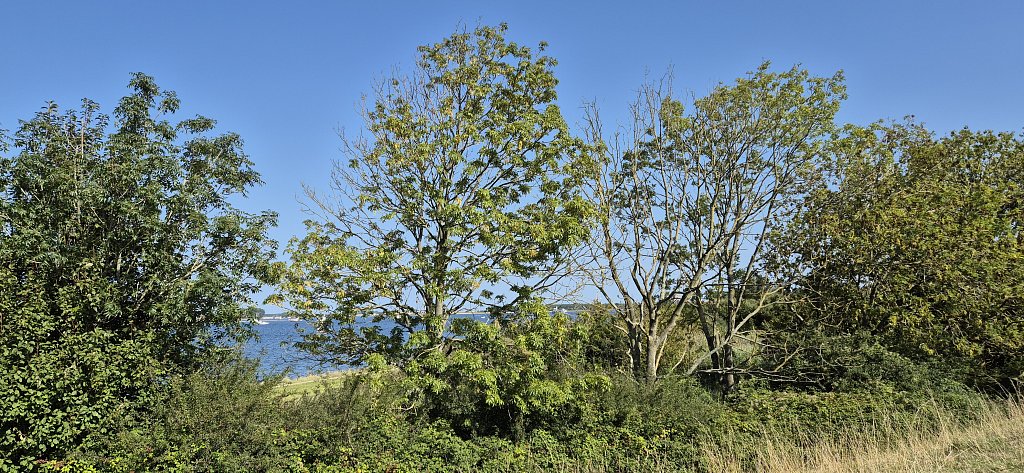 Veere-256.jpg
