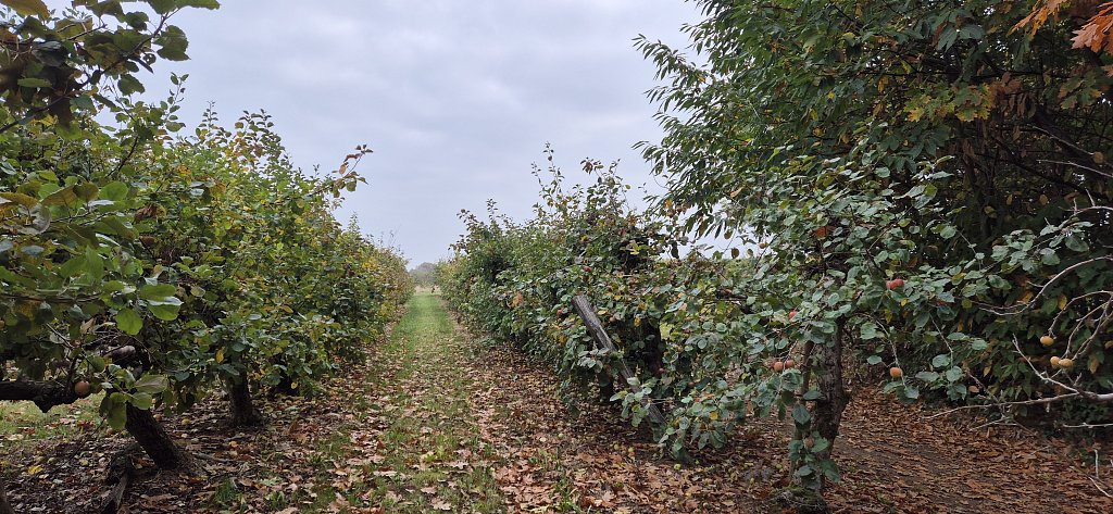 Wezemaal-119.jpg