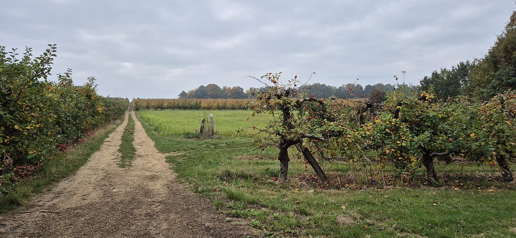 Wezemaal-121.jpg