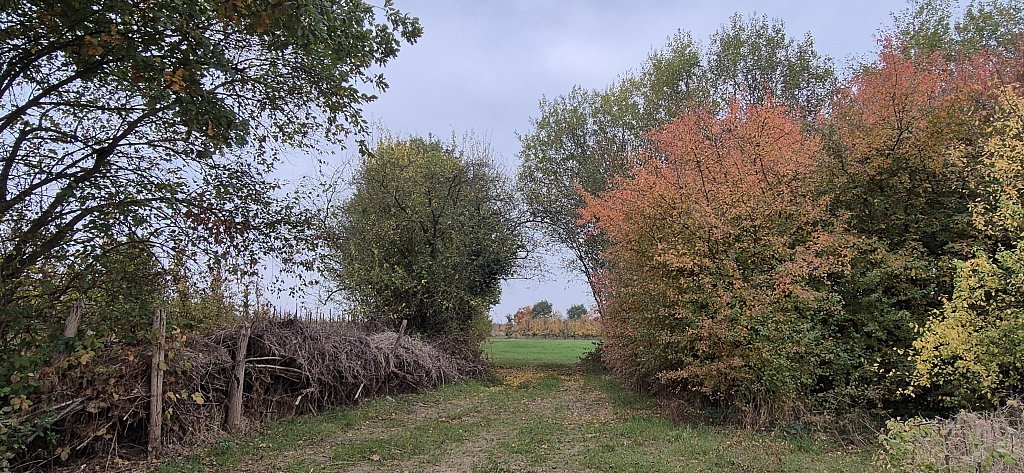 Wezemaal-132.jpg