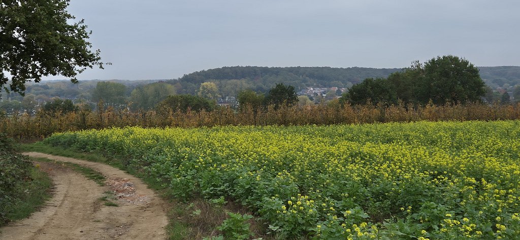 Wezemaal-137.jpg