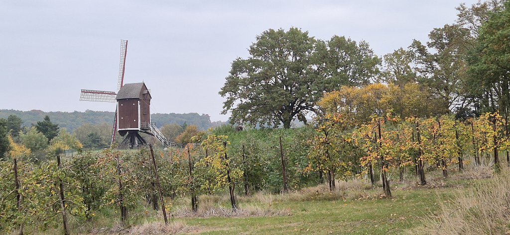 Wezemaal-140.jpg