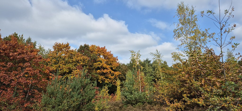 Wezemaal-160.jpg