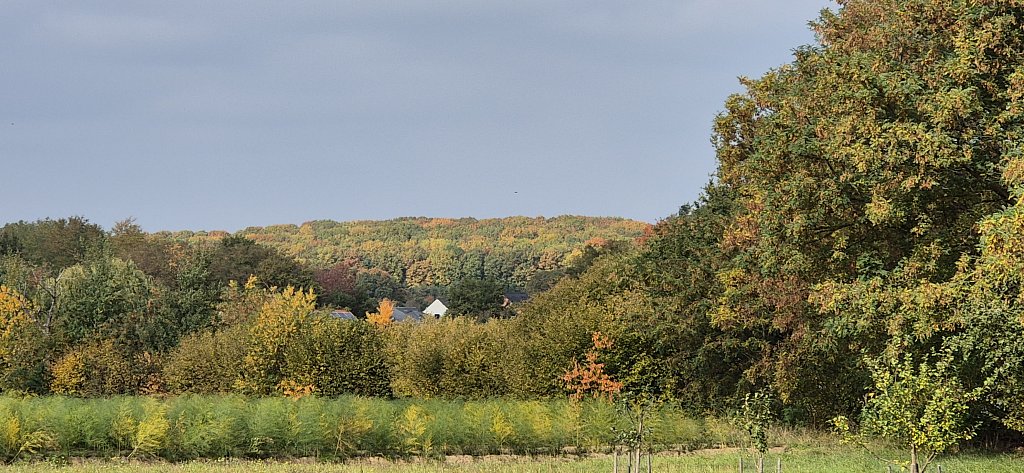 Wezemaal-168.jpg