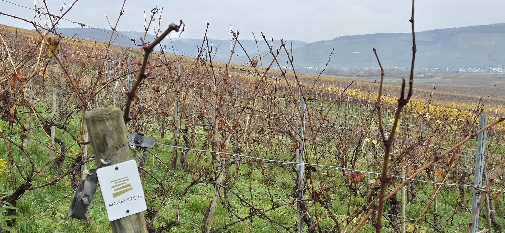 Moselle2025-329.jpg