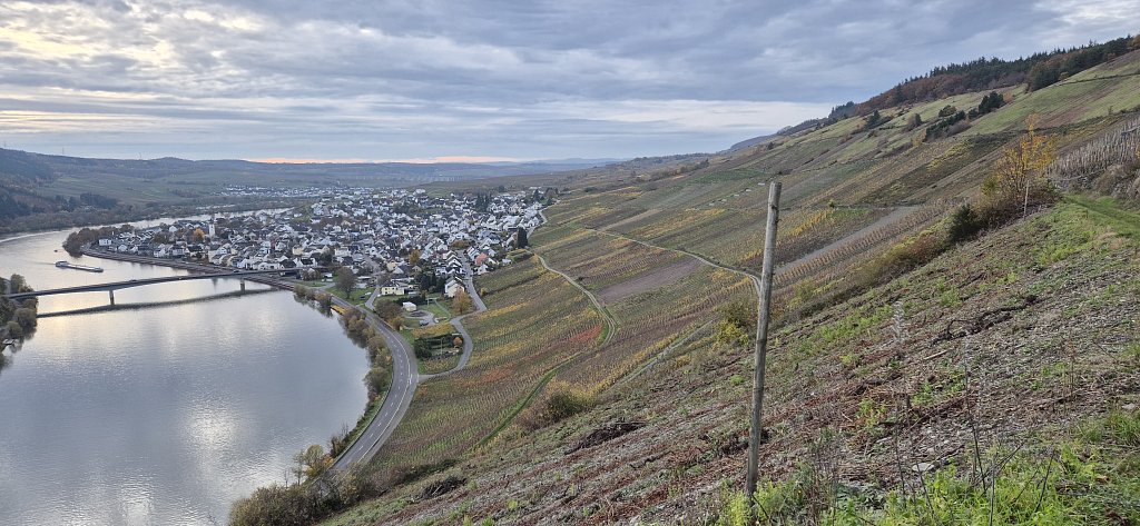 Moselle2025-492.jpg
